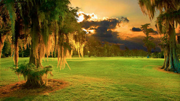 Practice Green