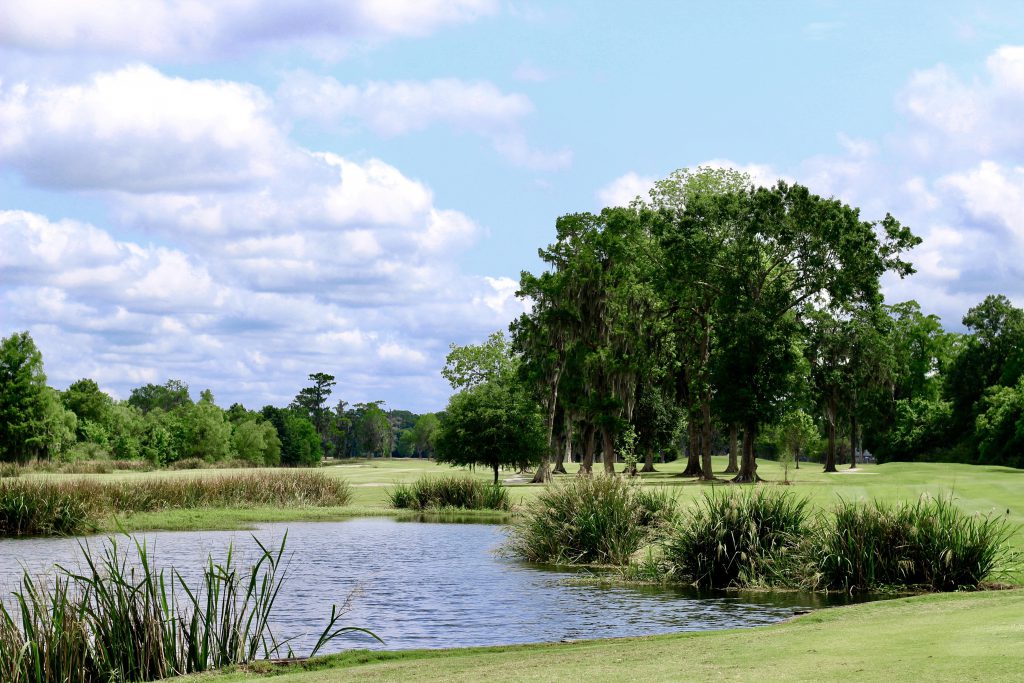 Fairway View